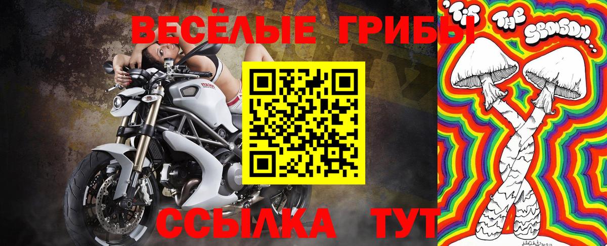 Псилоцибиновые грибы ЛСД Лесосибирск