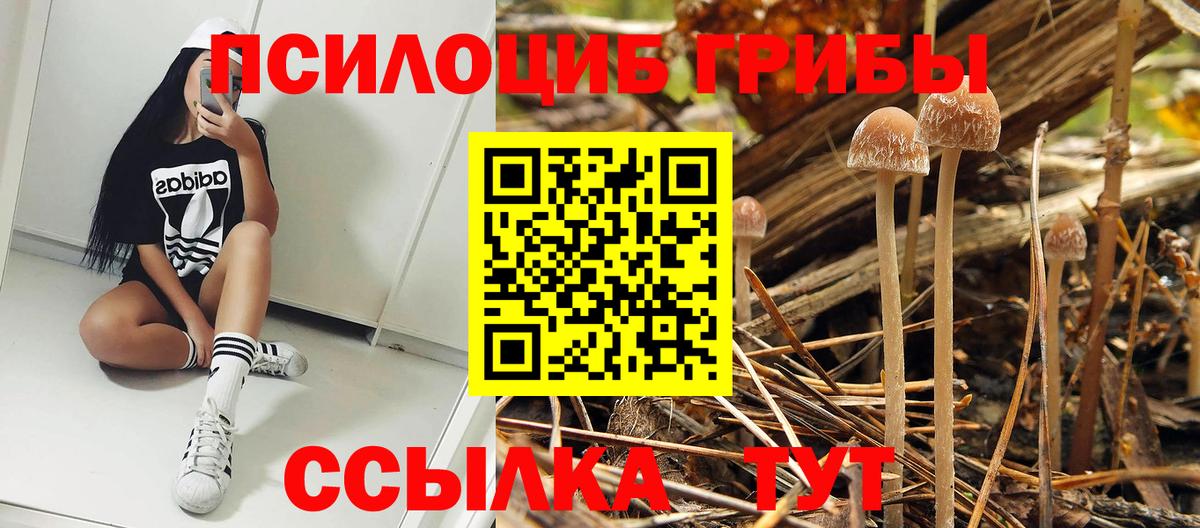 Псилоцибиновые грибы Cubensis  Псилоцибиновые грибы ЛСД  Вход с VPN  Лесосибирск 
